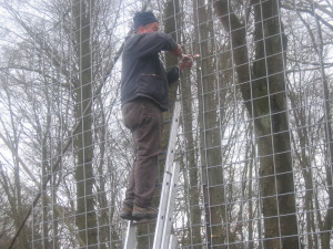 Bauarbeiten Kunstrasen VfR Niedertiefenbach
